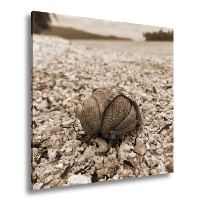 Hauptbild Sepia Quadratisch
