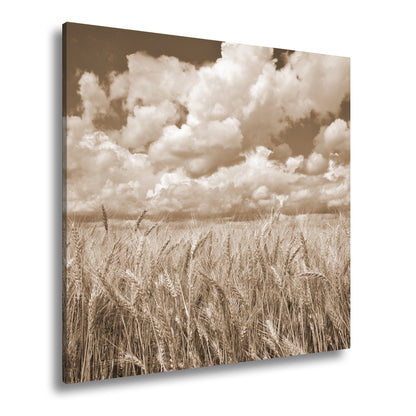 Hauptbild Sepia Quadratisch