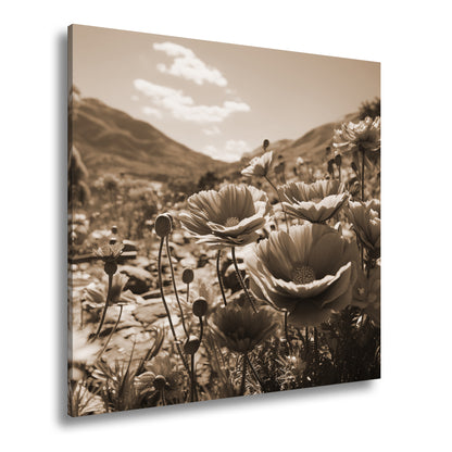 Hauptbild Sepia Quadratisch