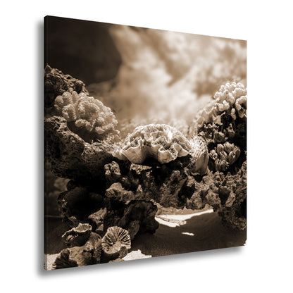 Hauptbild Sepia Quadratisch
