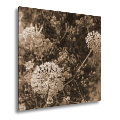Hauptbild Sepia Quadratisch