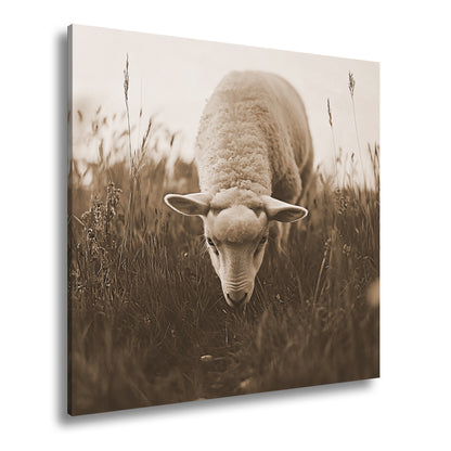 Hauptbild Sepia Quadratisch