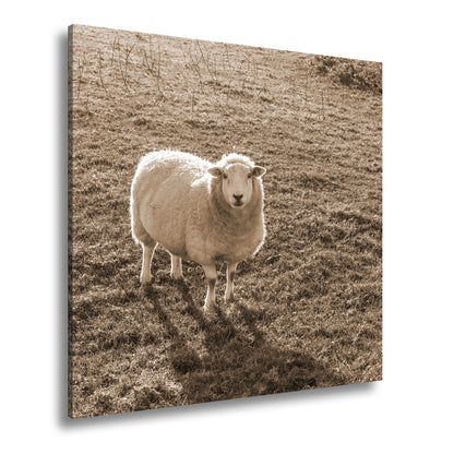 Hauptbild Sepia Quadratisch