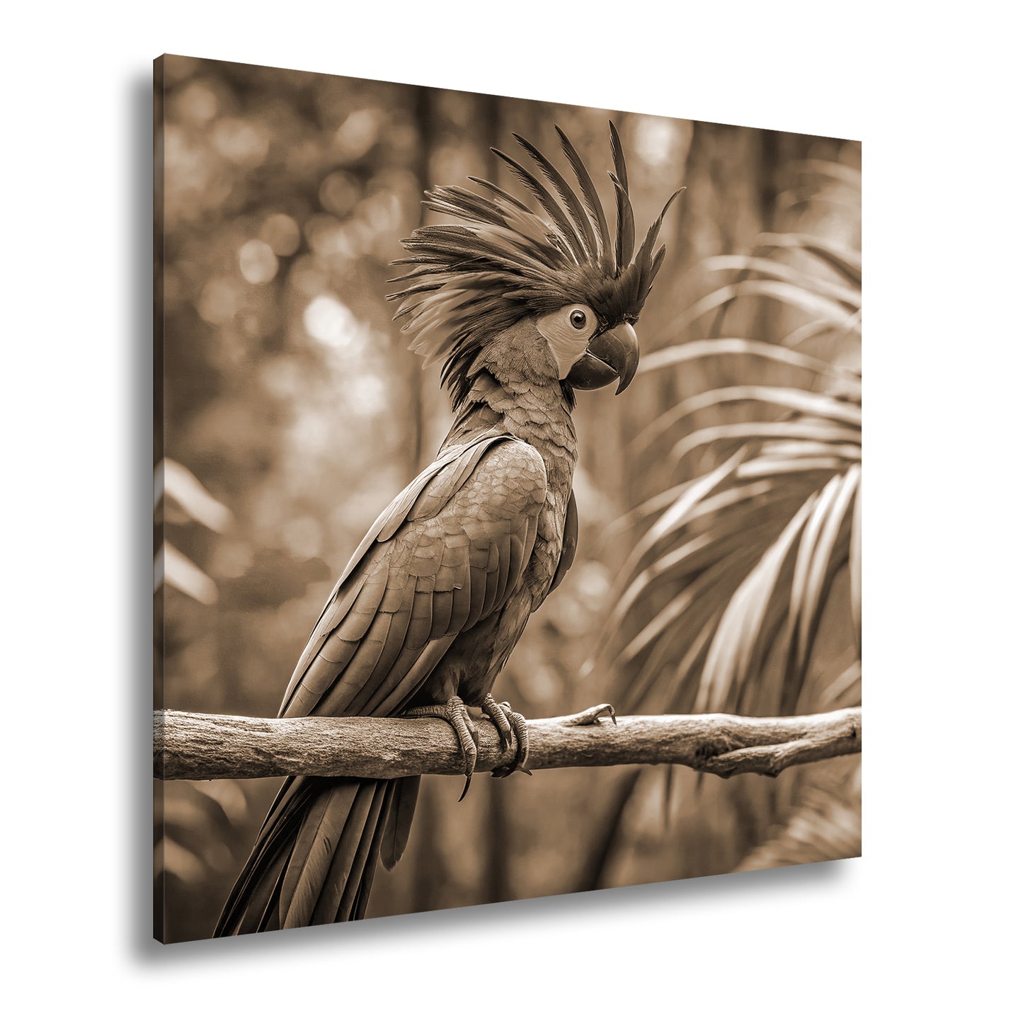 Hauptbild Sepia Quadratisch