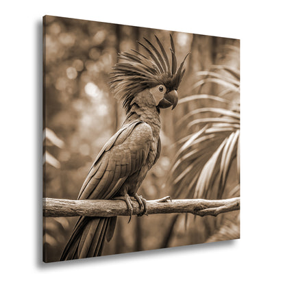 Hauptbild Sepia Quadratisch