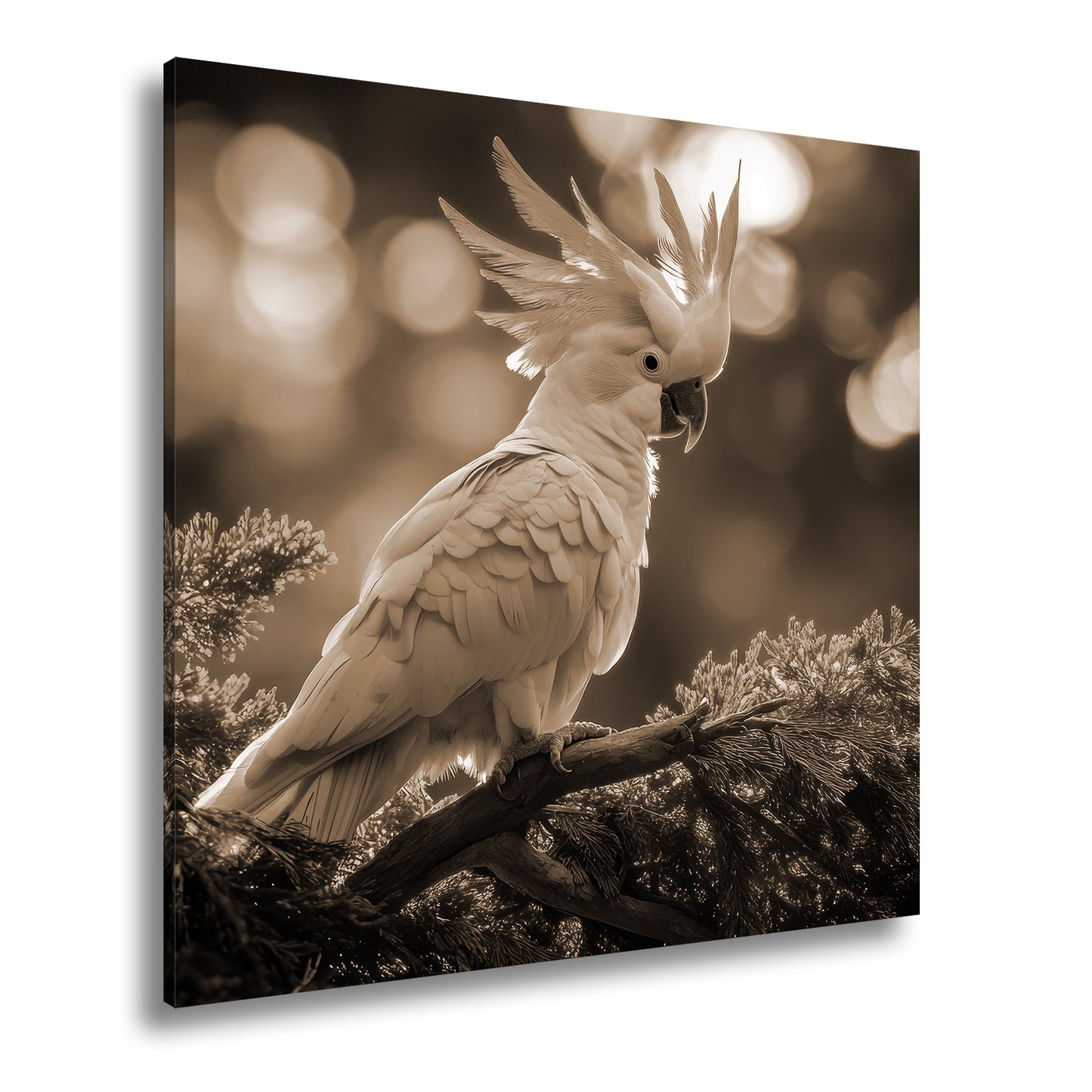 Hauptbild Sepia Quadratisch
