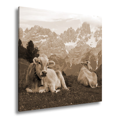 Hauptbild Sepia Quadratisch