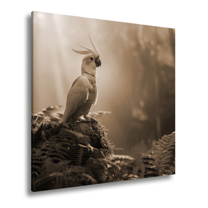 Hauptbild Sepia Quadratisch