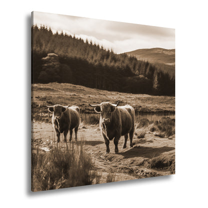 Hauptbild Sepia Quadratisch
