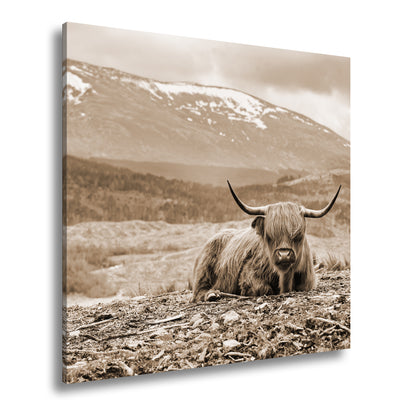 Hauptbild Sepia Quadratisch