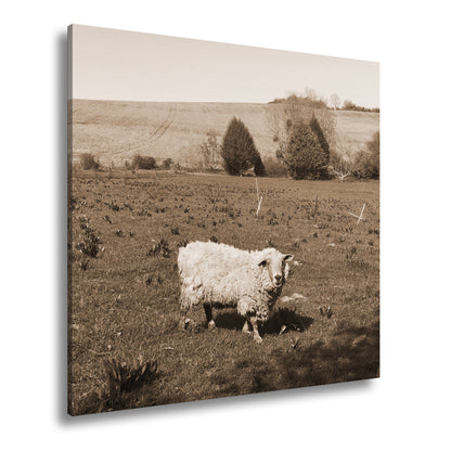 Hauptbild Sepia Quadratisch