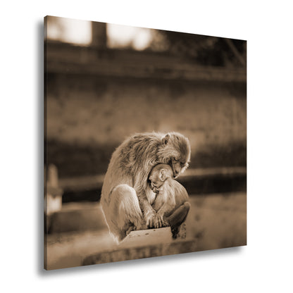 Hauptbild Sepia Quadratisch