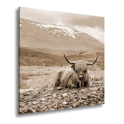 Hauptbild Sepia Quadratisch