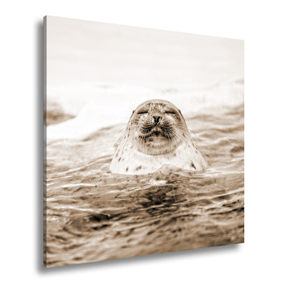 Hauptbild Sepia Quadratisch