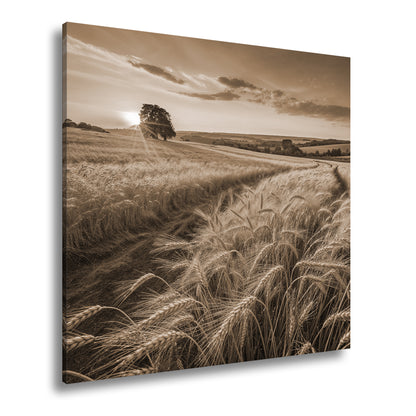 Hauptbild Sepia Quadratisch