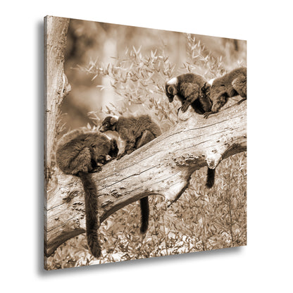 Hauptbild Sepia Quadratisch