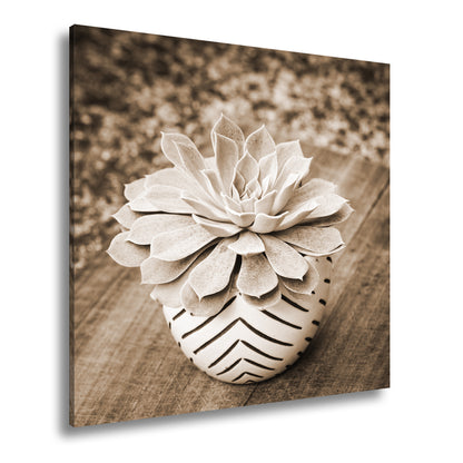 Hauptbild Sepia Quadratisch