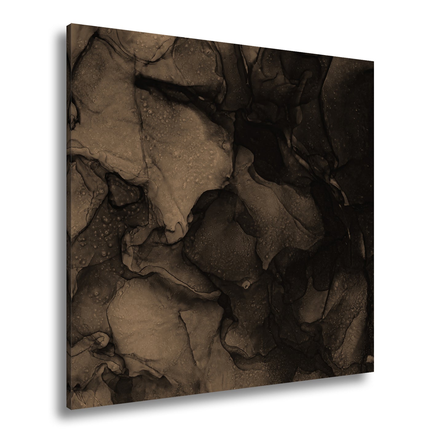 Hauptbild Sepia Quadratisch