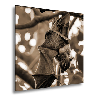 Hauptbild Sepia Quadratisch