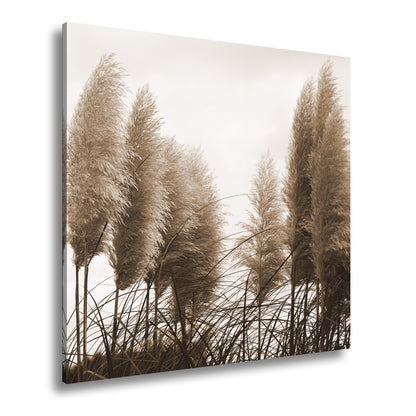 Hauptbild Sepia Quadratisch