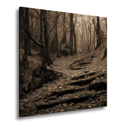 Hauptbild Sepia Quadratisch