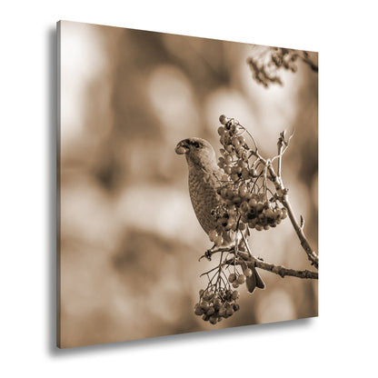 Hauptbild Sepia Quadratisch