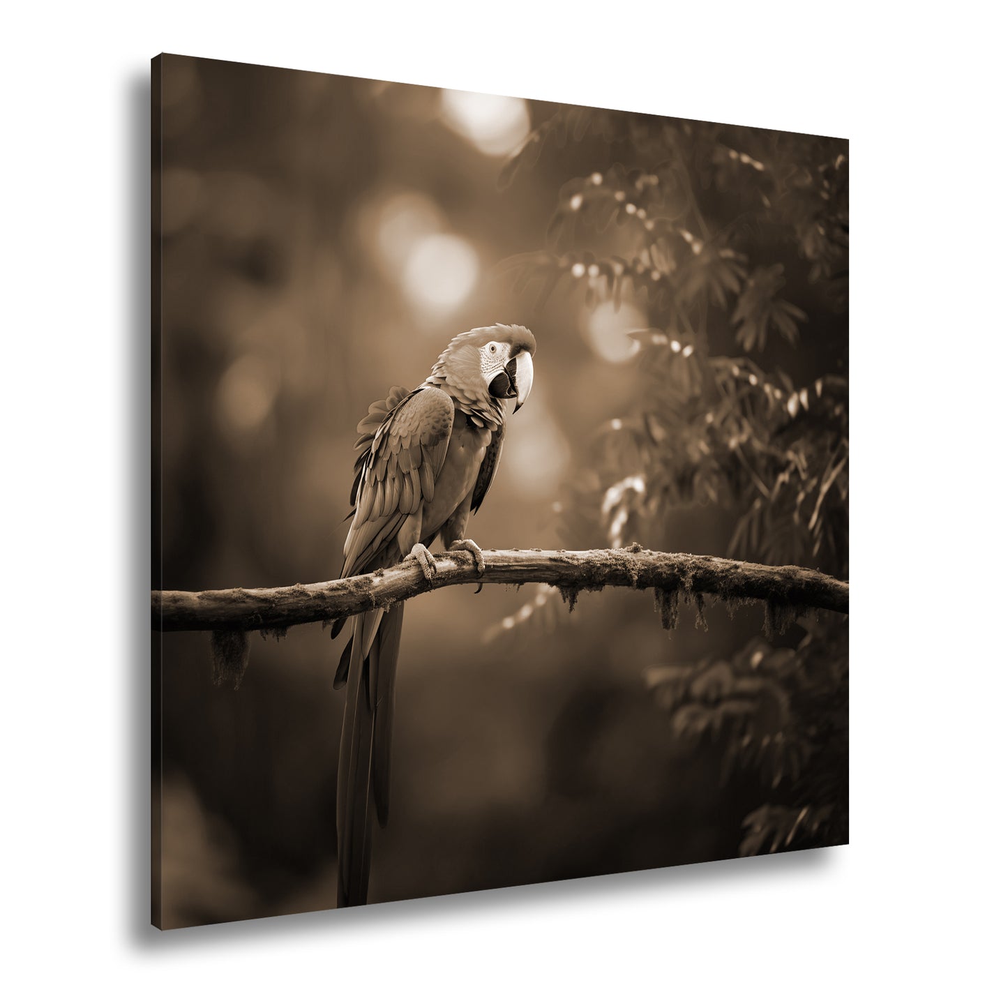 Hauptbild Sepia Quadratisch