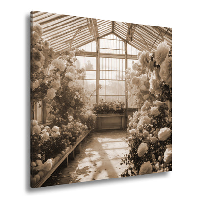 Hauptbild Sepia Quadratisch