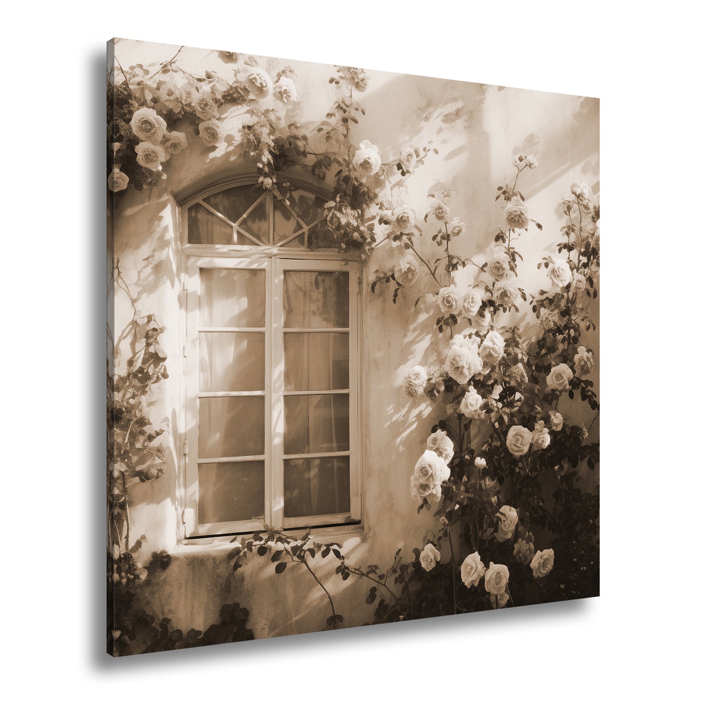 Hauptbild Sepia Quadratisch