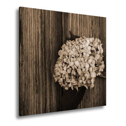 Hauptbild Sepia Quadratisch