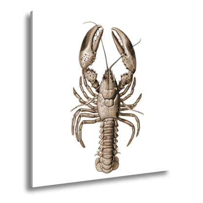 Hauptbild Sepia Quadratisch