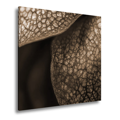 Hauptbild Sepia Quadratisch