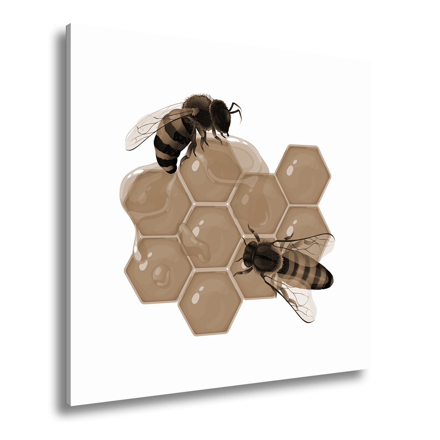 Hauptbild Sepia Quadratisch