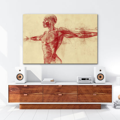 Anatomische Studie Leinwandbild XXL - Detailreiche Rotzeichnung Wandbild 60x40 cm - deyoli