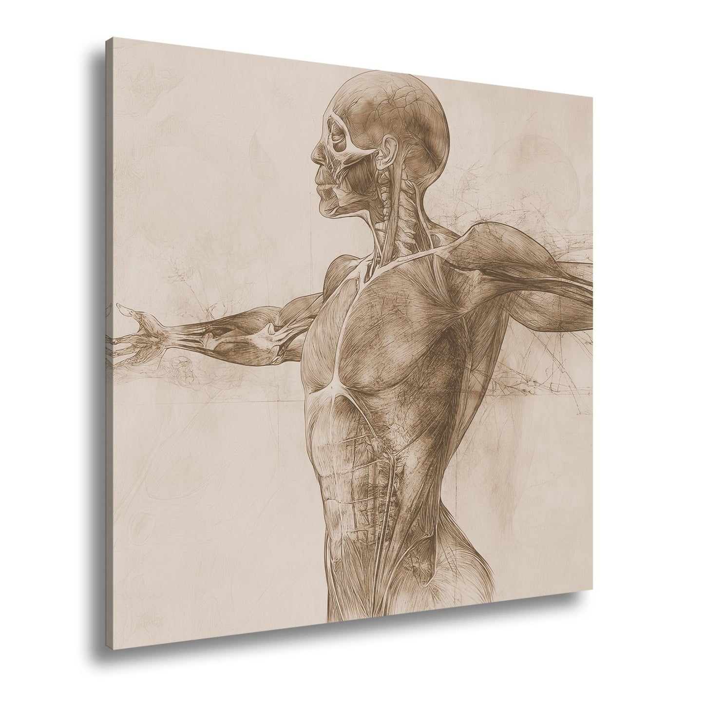 Anatomische Studie Leinwandbild XXL - Detailreiche Rotzeichnung Wandbild 60x40 cm - deyoli