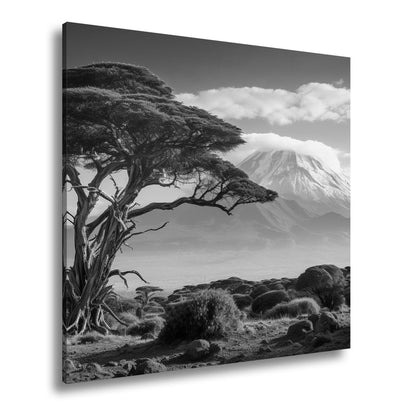 Leinwandbild Afrikas Weite – Majestätischer Baum vor Kilimandscharo XXL - deyoli