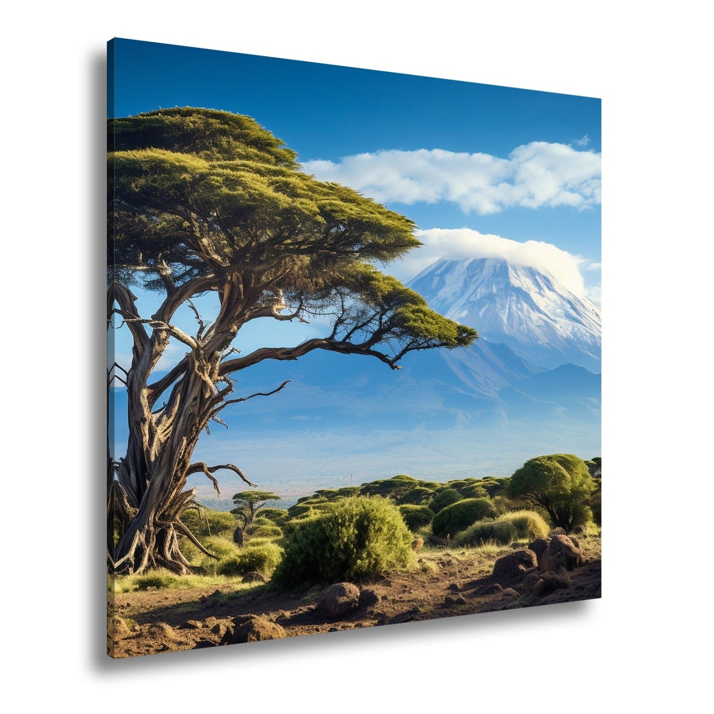 Leinwandbild Afrikas Weite – Majestätischer Baum vor Kilimandscharo XXL - deyoli