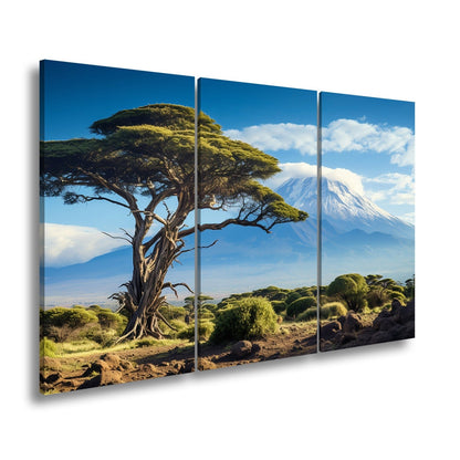 Leinwandbild Afrikas Weite – Majestätischer Baum vor Kilimandscharo XXL - deyoli