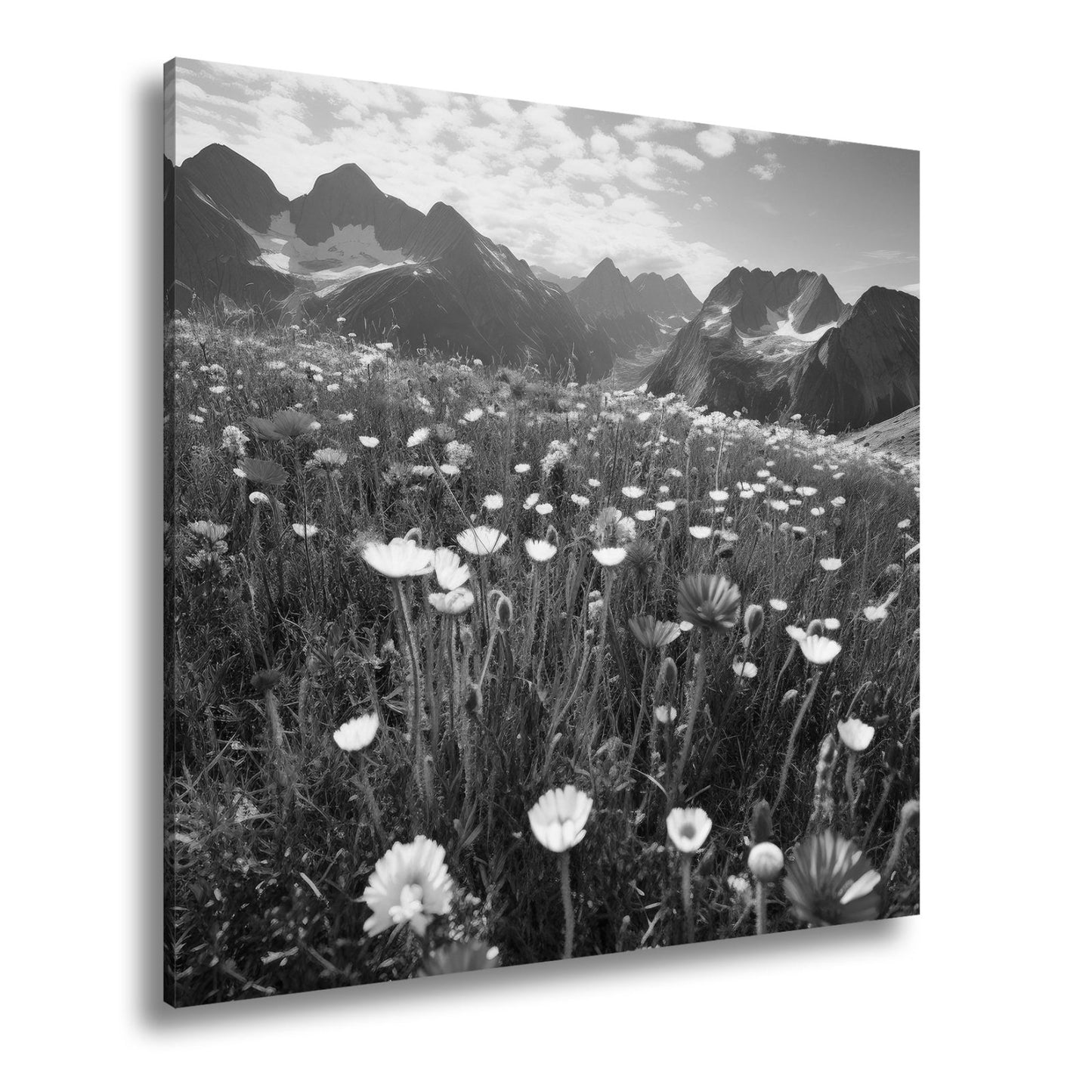 Leinwandbild Alpenblumen erblühen stolz vor majestätischer Bergkulisse. - deyoli