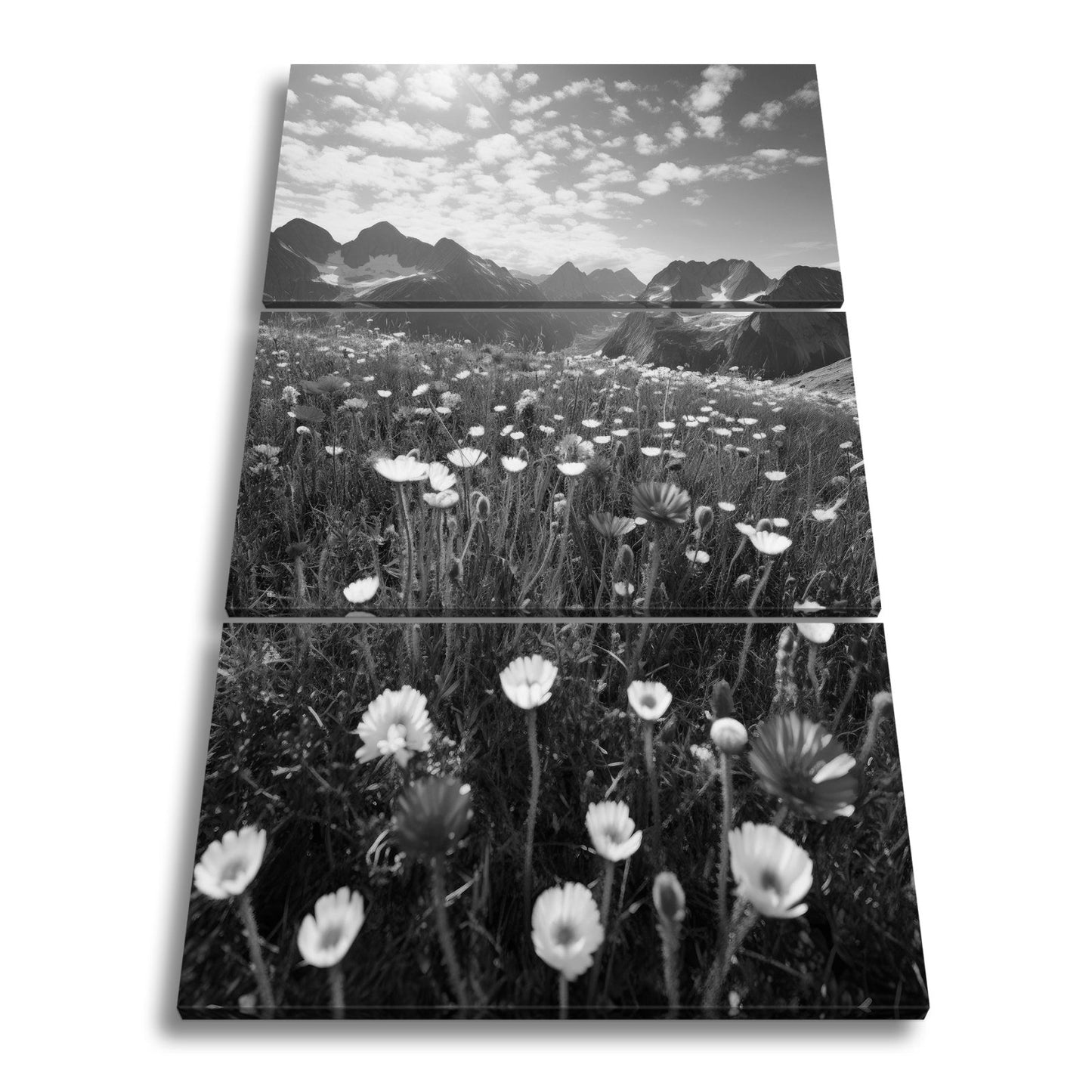 Leinwandbild Alpenblumen erblühen stolz vor majestätischer Bergkulisse. - deyoli