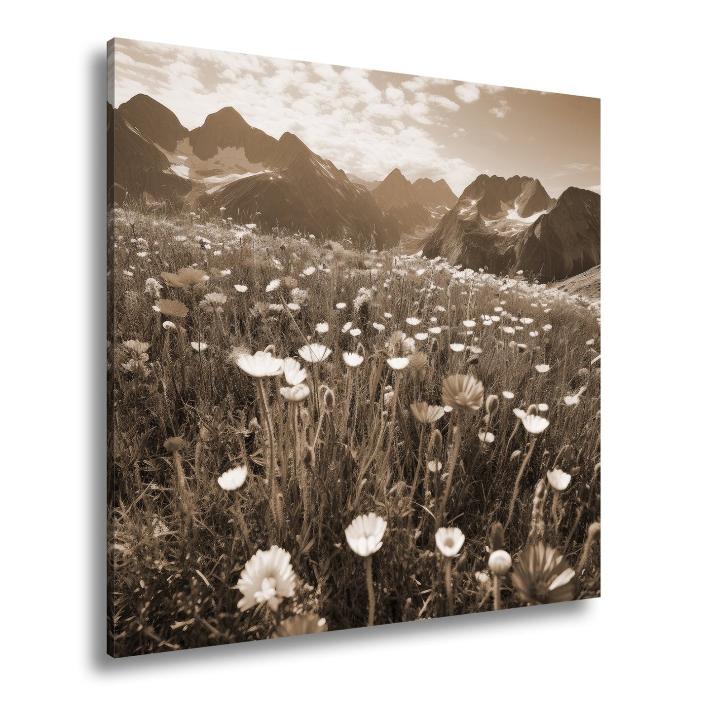 Leinwandbild Alpenblumen erblühen stolz vor majestätischer Bergkulisse. - deyoli