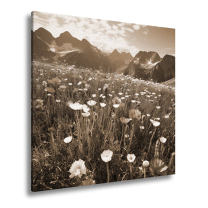 Leinwandbild Alpenblumen erblühen stolz vor majestätischer Bergkulisse. - deyoli