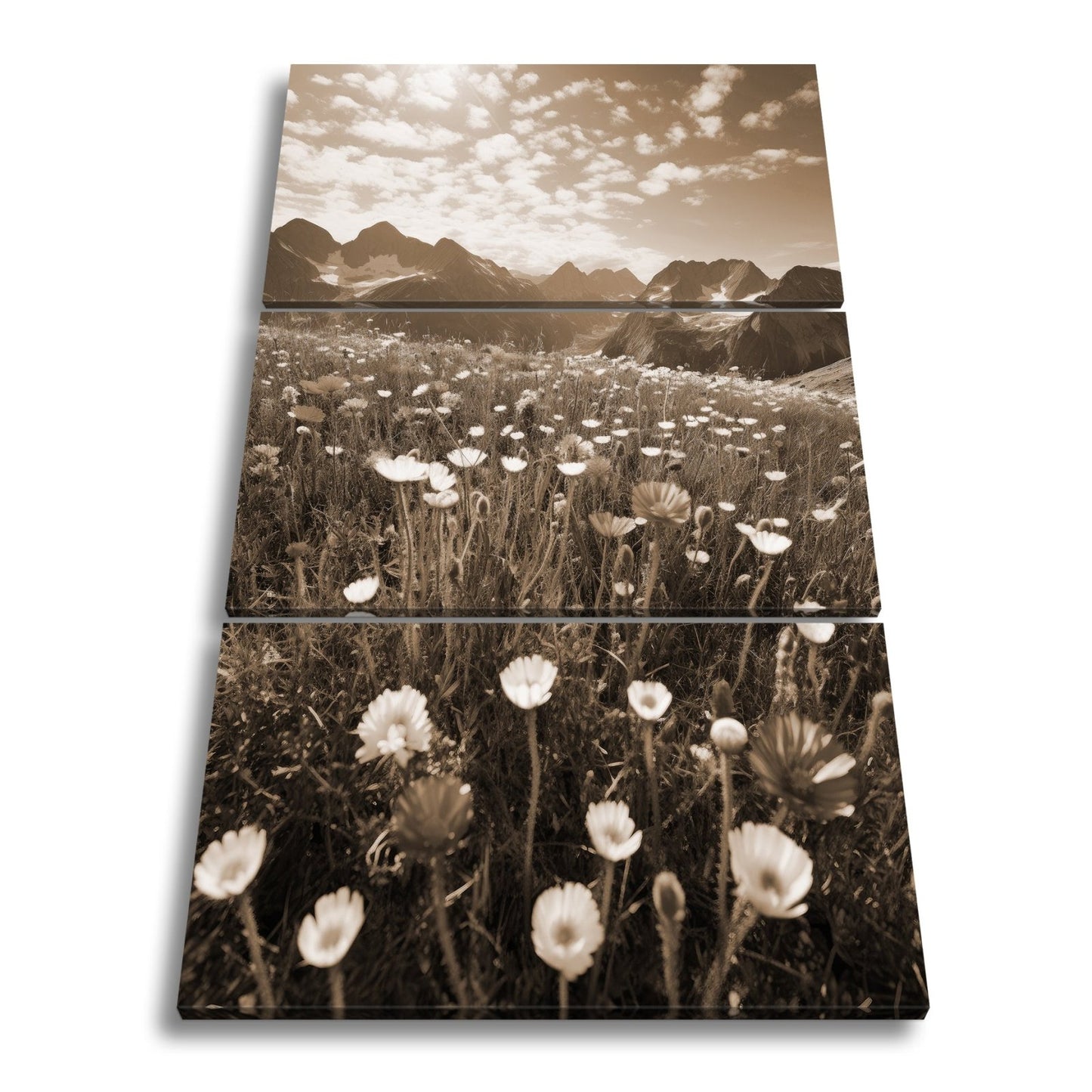 Leinwandbild Alpenblumen erblühen stolz vor majestätischer Bergkulisse. - deyoli