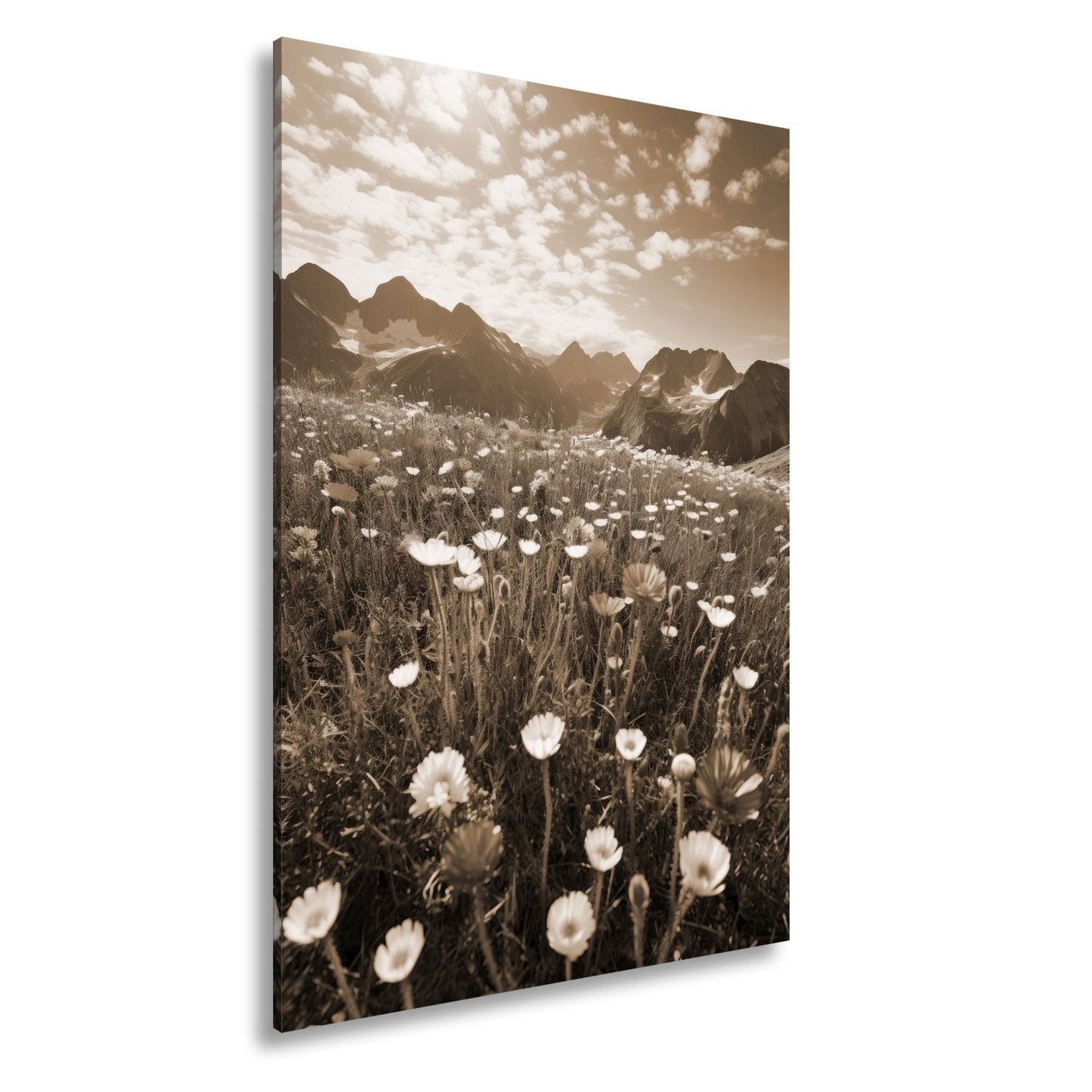 Leinwandbild Alpenblumen erblühen stolz vor majestätischer Bergkulisse. - deyoli