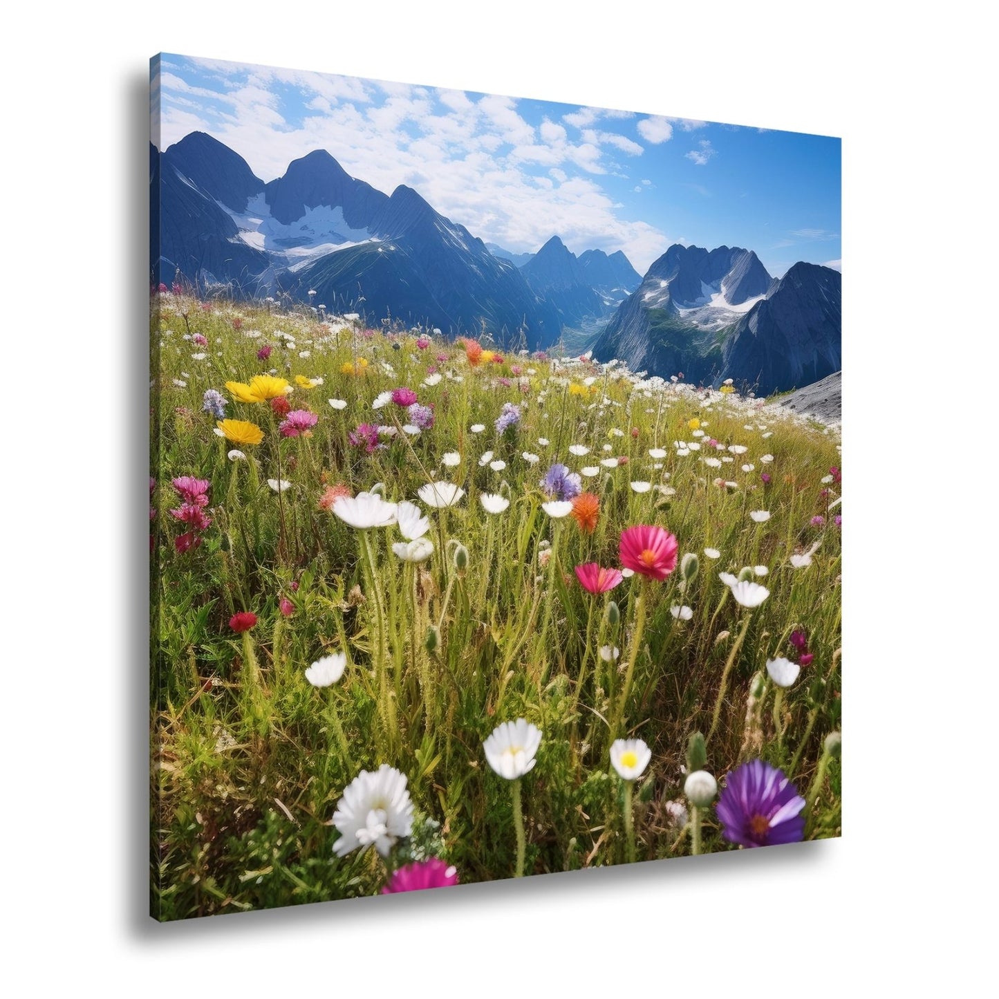 Leinwandbild Alpenblumen erblühen stolz vor majestätischer Bergkulisse. - deyoli
