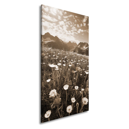Leinwandbild Alpenblumen erblühen stolz vor majestätischer Bergkulisse. - deyoli