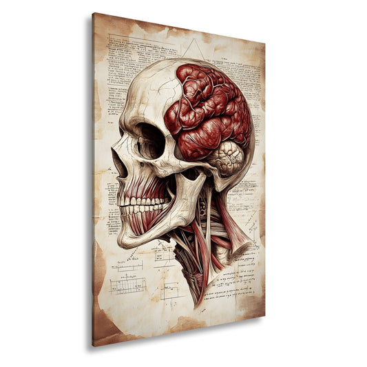 Leinwandbild Anatomie der Gedanken – der Schädel als Kunst der Erkenntnis. - deyoli
