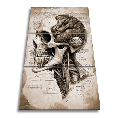 Leinwandbild Anatomie der Gedanken – der Schädel als Kunst der Erkenntnis. - deyoli