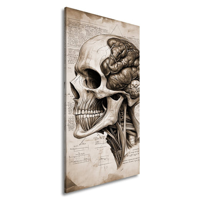 Leinwandbild Anatomie der Gedanken – der Schädel als Kunst der Erkenntnis. - deyoli