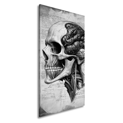 Leinwandbild Anatomie der Gedanken – der Schädel als Kunst der Erkenntnis. - deyoli